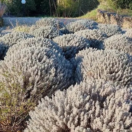 Domaine Du Moulin De Cors Vendégház *