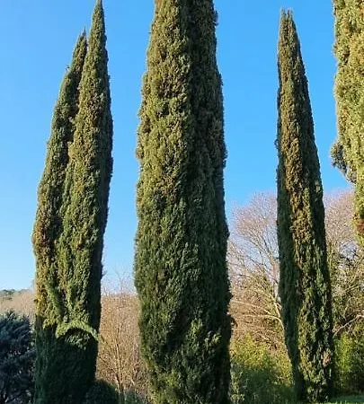 Domaine Du Moulin De Cors