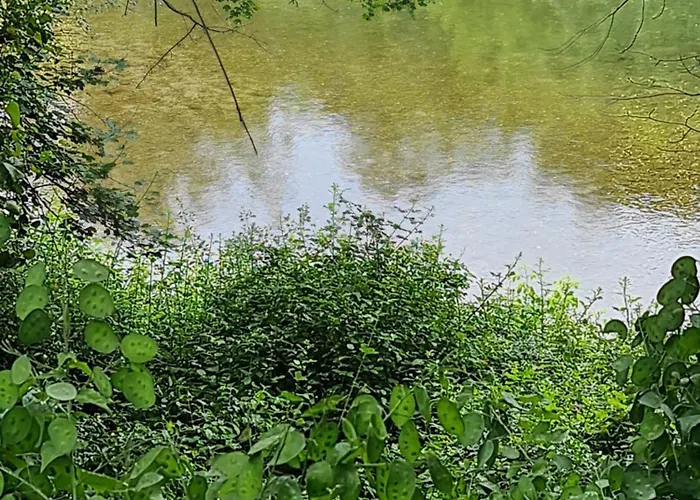 Πανσιόν Domaine Du Moulin De Cors La Roque-sur-Cèze